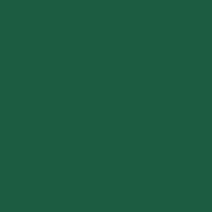 Dunisoft 40x40см 12бр. - Тъмно зелен